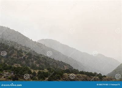 代理游戏软件的市场机遇与技术推广策略——以盟诺手游代理为例