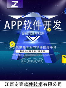 南昌软件开发公司 技术创新与推广服务的双轮驱动