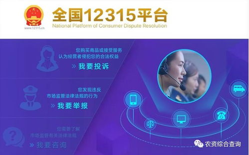 软件技术赋能 我国乡村产业未来发展的新引擎