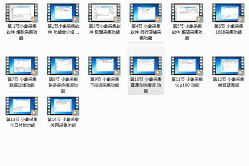 小象搬家与上货代购软件 赋能拼多多无货源店群项目的技术利器与招商机遇