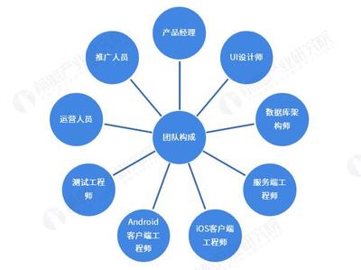 揭秘软件系统开发与推广的核心技术团队配置